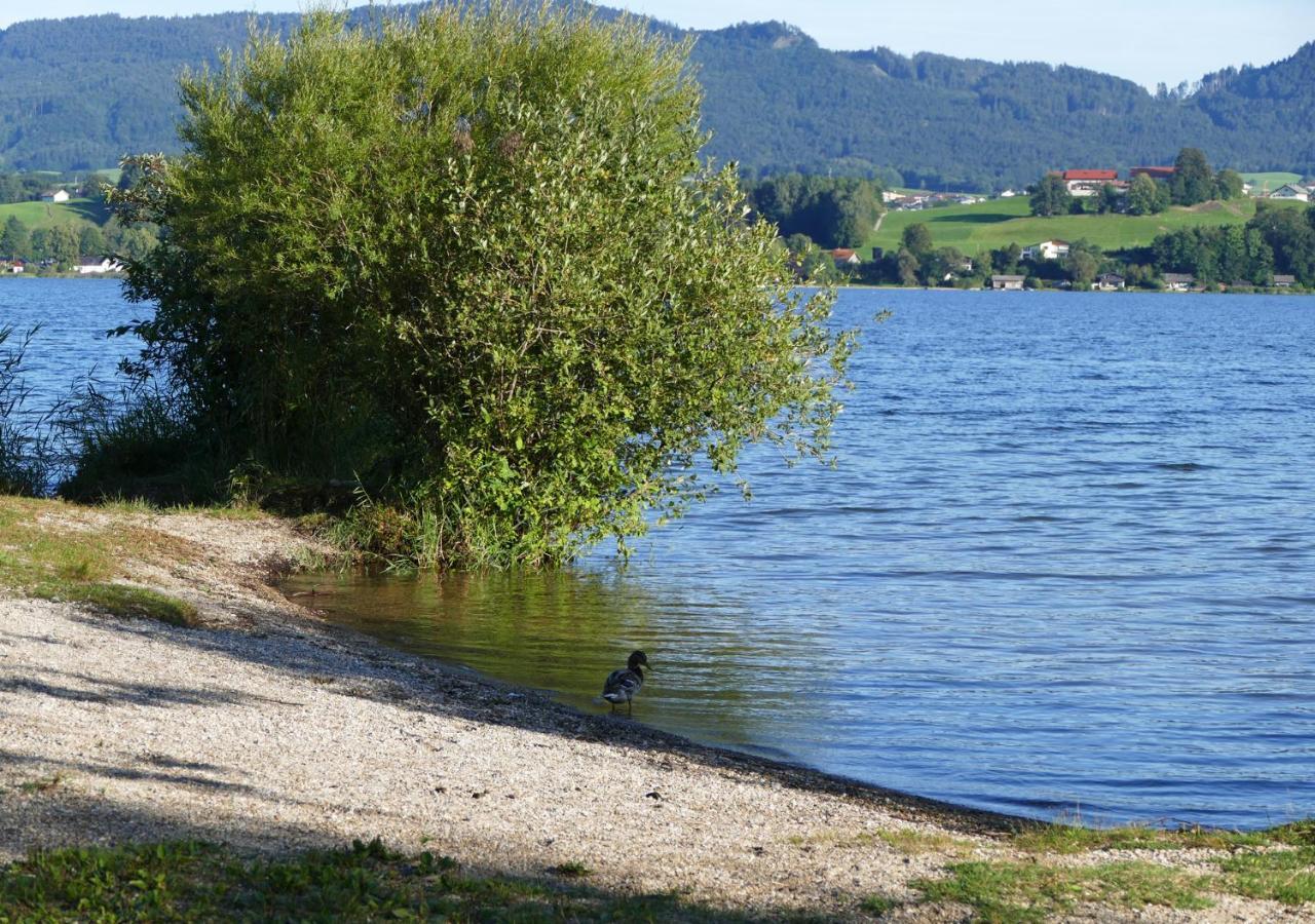 Refugio Del Lago Seekirchen am Wallersee Εξωτερικό φωτογραφία