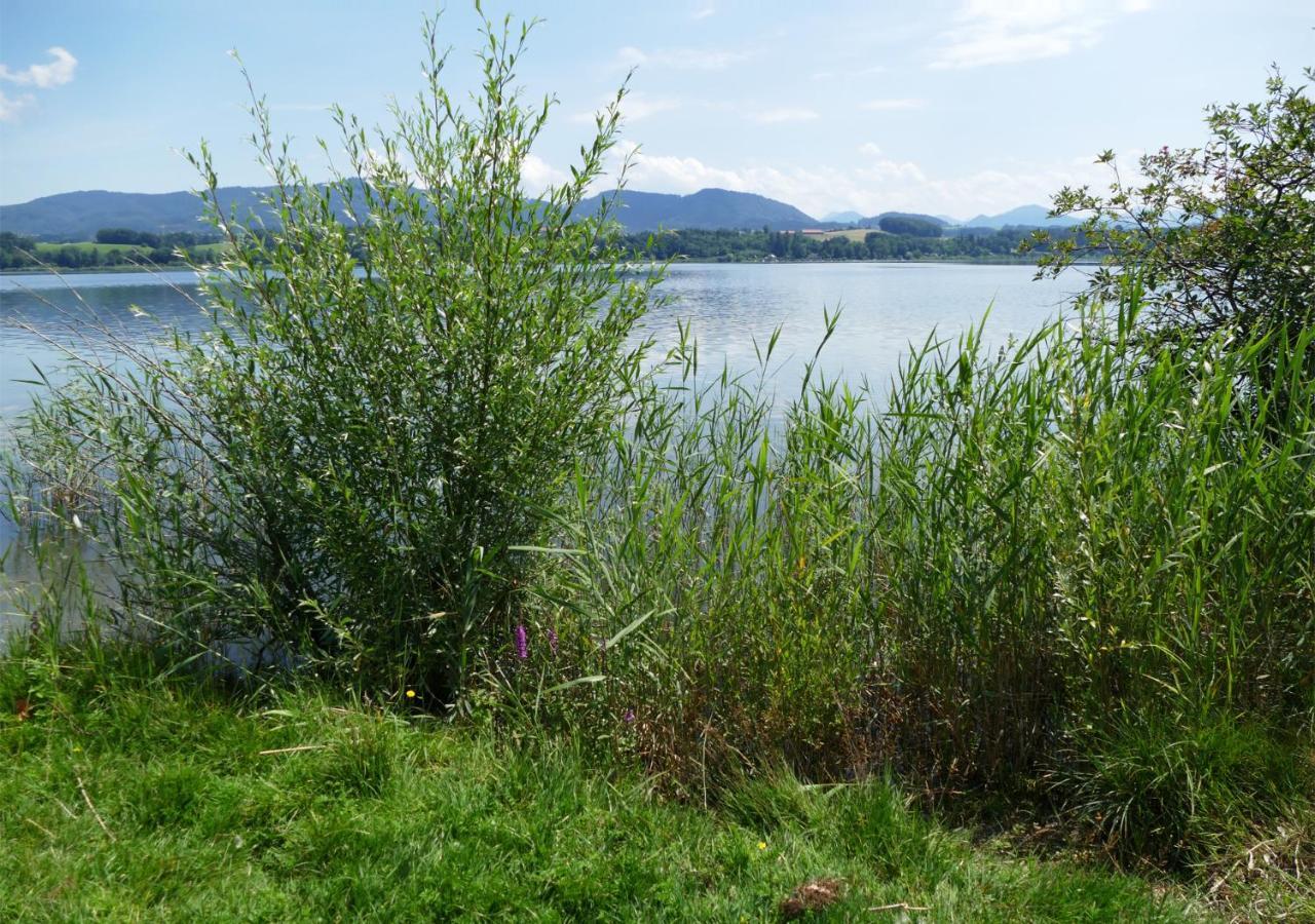Refugio Del Lago Seekirchen am Wallersee Εξωτερικό φωτογραφία